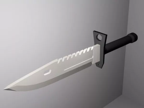 Fish Dagger 3d model