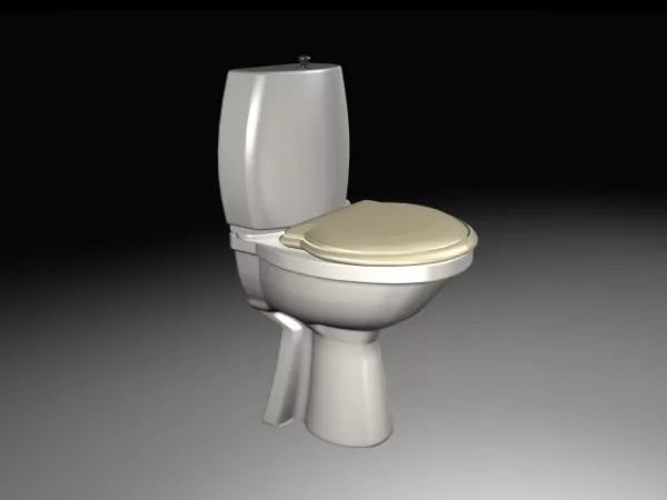 Cantilever Toilet Lavatory With Wooden Cap 3d model