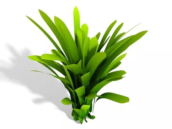 Low Poly Palm Shrub 3d model