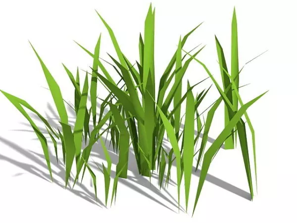 Garden Grass Pot Rectangular 3d model