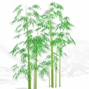 Bamboo Plants 3d model