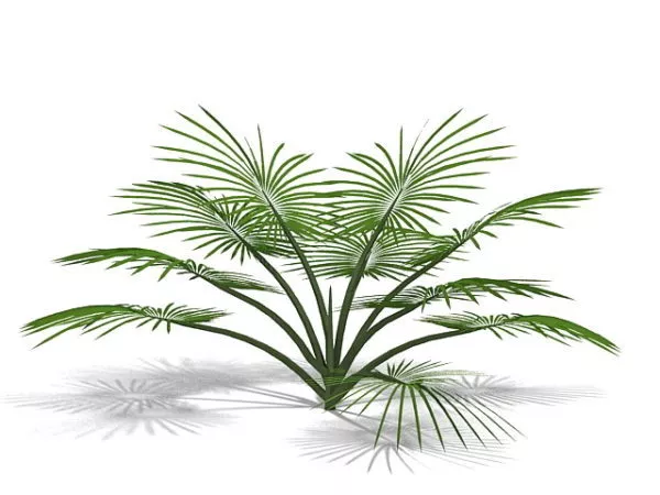 Lowpoly Palm Trees On Beach 3d model