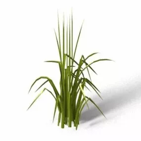 Bent Grass 3d model