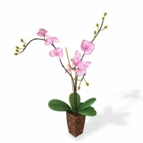 Potted Flowers 3d model