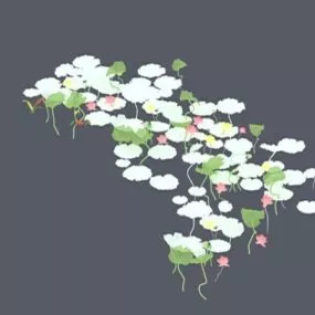 White Water Lily 3d model