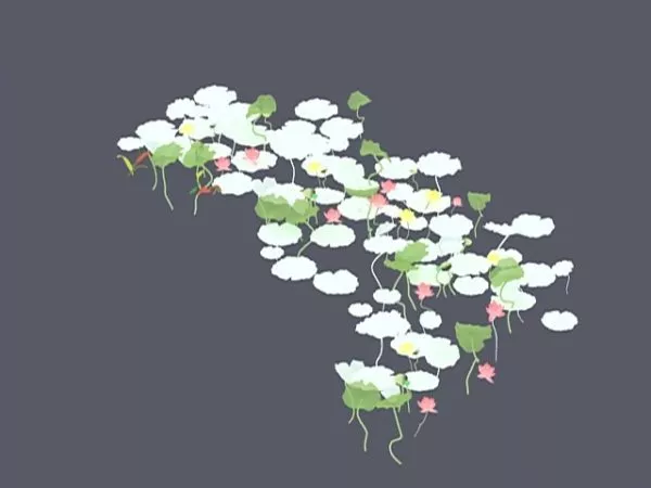 White Water Lily 3d model White Water Lily 3d model