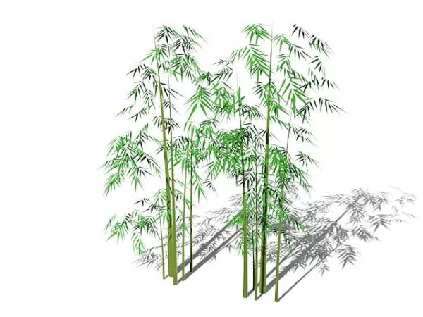 Bamboo Trees 3d model Bamboo Trees 3d model