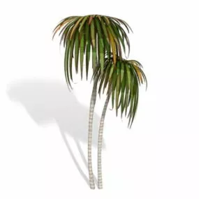 Dracaena Tree 3d model