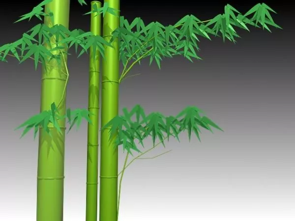 Bamboo Stem With Leaves 3d model Bamboo Stem With Leaves 3d model