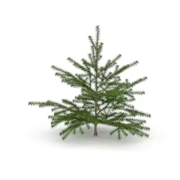 Christmas Ornament Balls 3d model