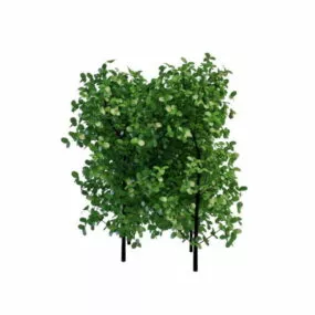 Landscaping Hedges And Bushes 3d model