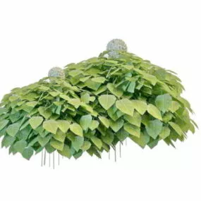 Front Yard Landscaping Plants 3d model