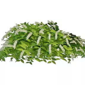 Flowering Landscaping Shrubs 3d model
