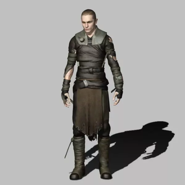 Crow Assassin 3d model