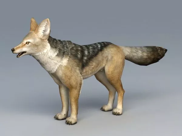 Wolf In Forest 3d model