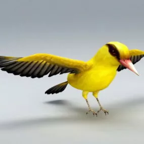 Eurasian Golden Oriole 3d model