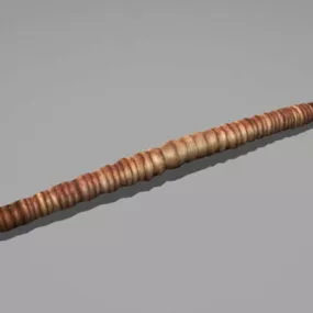 Cartoon Earthworm 3d model