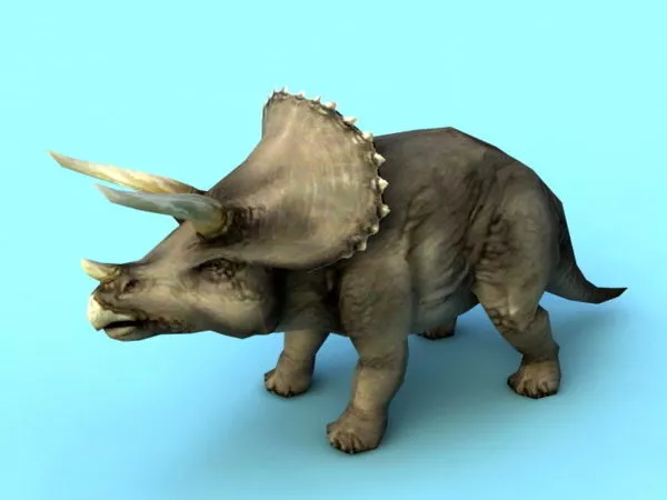 Triceratops Dinosaur 3d model Triceratops Dinosaur 3d model
