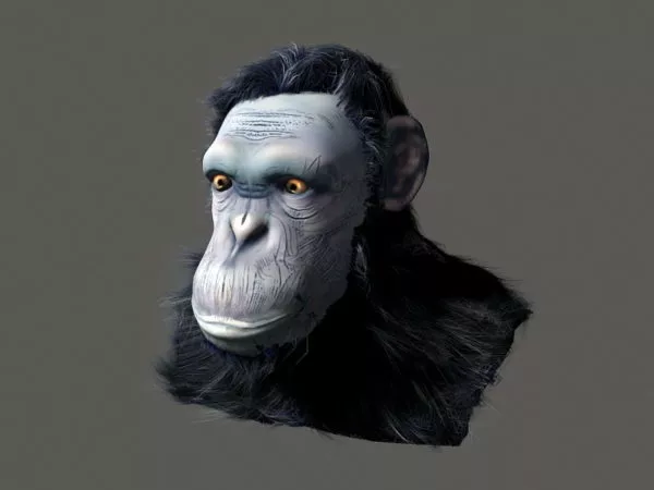 Giant Ape 3d model