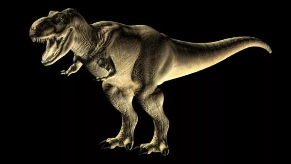 Hippodraco Dinosaur 3d model
