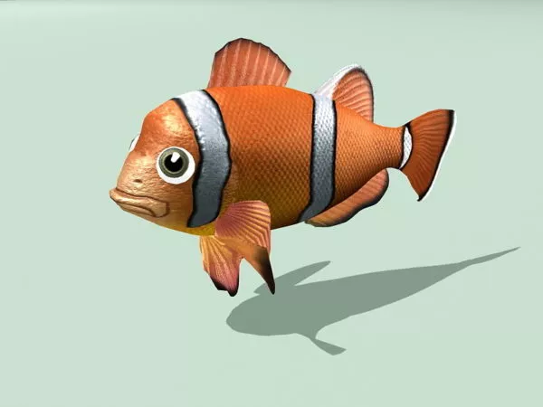 Clownfish Animated Rig 3d model Clownfish Animated Rig 3d model