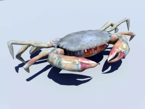 Crab Animated Rig 3d model Crab Animated Rig 3d model
