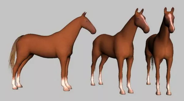 Brown Horse 3d model Brown Horse 3d model