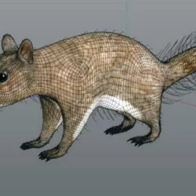 Realistic Squirrel 3d model