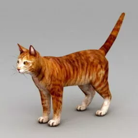 Orange Tabby Cat 3d model