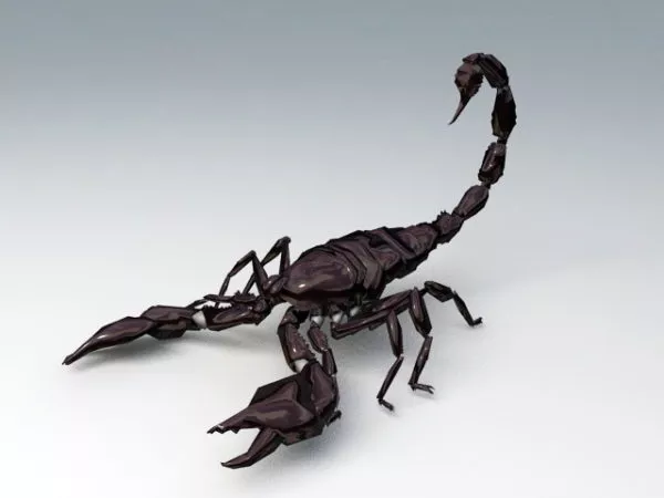 Emperor Scorpion Rig 3d model Emperor Scorpion Rig 3d model
