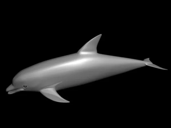 Baby Dolphin 3d model Baby Dolphin 3d model