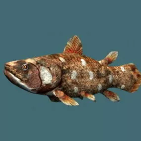 Actinistia Fish 3d model