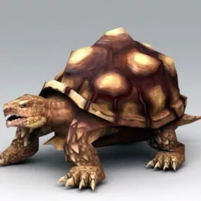 Old Turtle 3d model