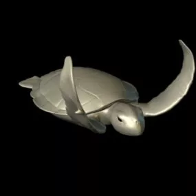 Sea Turtle Rig 3d model