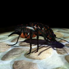 Black Bug 3d model