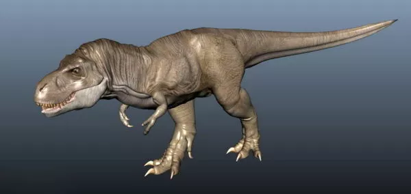 Tyrannosaurus Rex 3d model Tyrannosaurus Rex 3d model