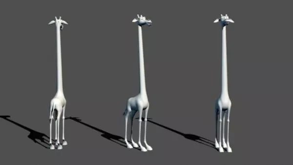 White Giraffe 3d model White Giraffe 3d model
