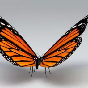 Monarch Butterfly 3d model