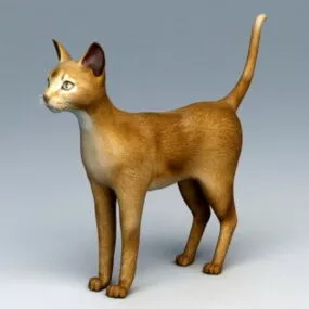Abyssinian Cat 3d model
