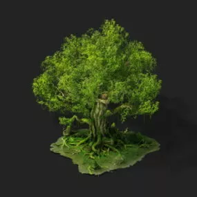 Big Towering Tree 3d model
