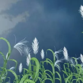 Tall Reed Grass 3d model