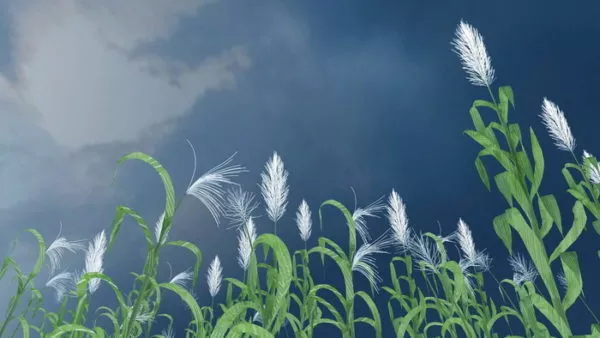 Tall Reed Grass 3d model Tall Reed Grass 3d model