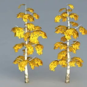 Birch Tree Fall Color 3d model