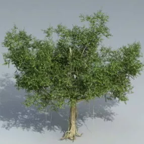 Banyan Tree 3d model
