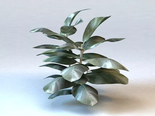 Grape Leaves 3d model