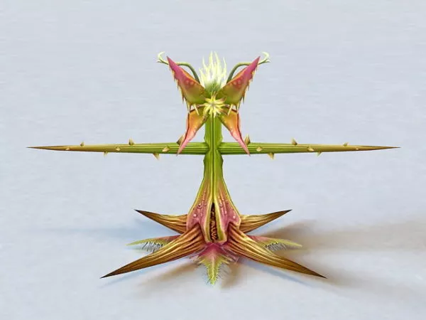 Carnivorous Plant Rigged 3d model Carnivorous Plant Rigged 3d model