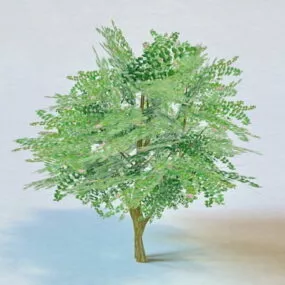 Low Poly Tree 3d model