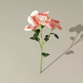 Flowering Branch 3d model