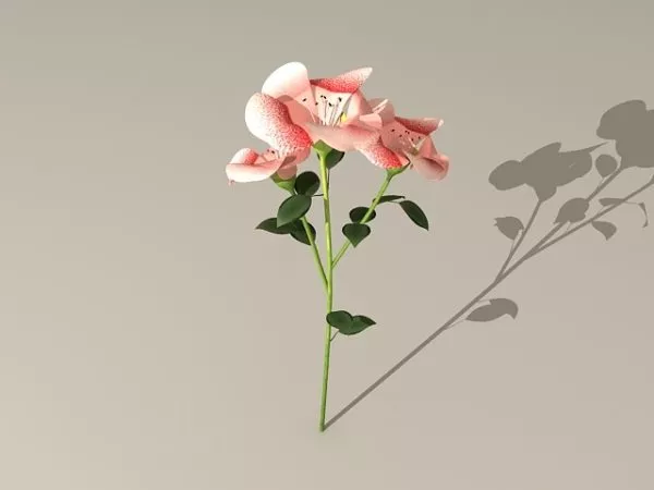 Flowering Branch 3d model Flowering Branch 3d model