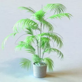 Potted Palm Tree 3d model
